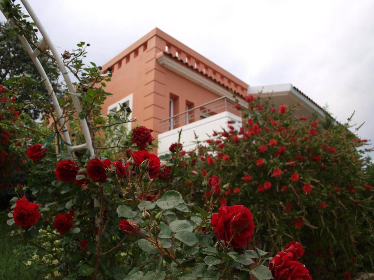 Thalassa Hotel & Spa Paleros Exterior foto